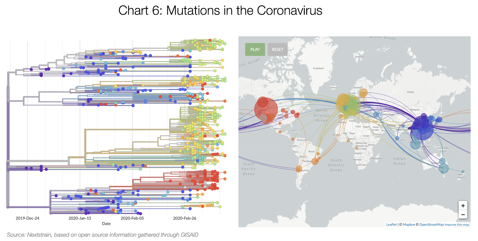 A koronavírus mutációi